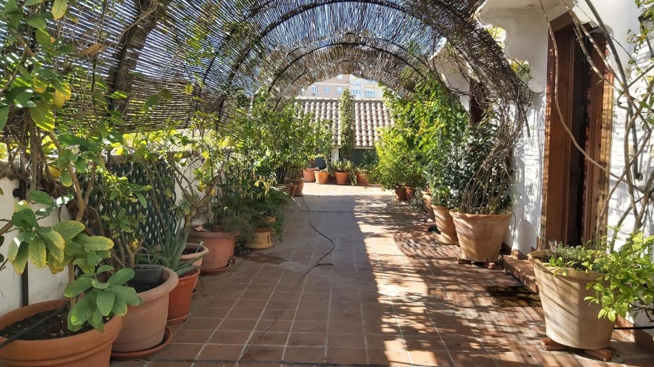 El Jardin De Wallada Cordoba Luaran gambar